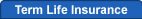 Term Life Insurance